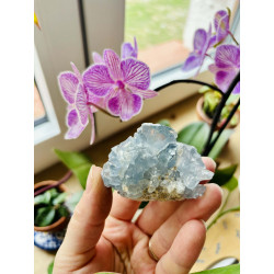 Celestin drúza - HARMONIE INTUICE