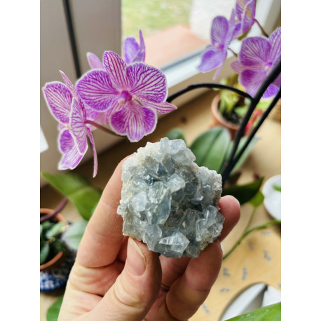 Celestin drúza - HARMONIE INTUICE