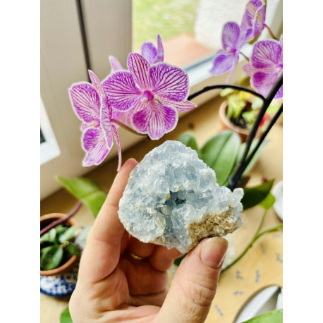 Celestin drúza - HARMONIE INTUICE