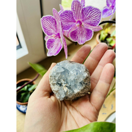 Celestin drúza - HARMONIE INTUICE