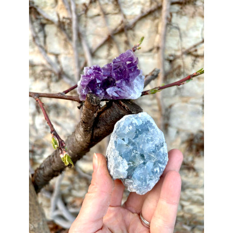 Celestin drúza - HARMONIE INTUICE