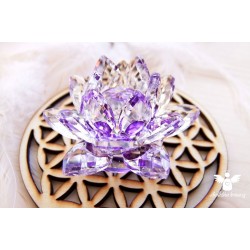 Feng Shui lotos 7.čakra (transformace, čistota)