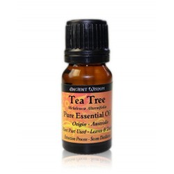 Tea Tree Esence Olej Antiseptický 10 ml